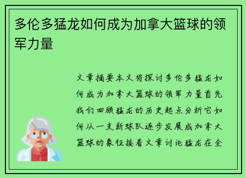 多伦多猛龙如何成为加拿大篮球的领军力量